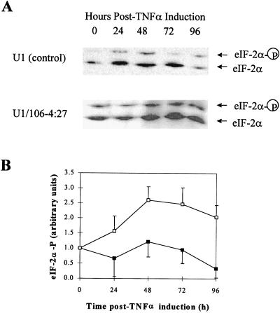 FIG. 5