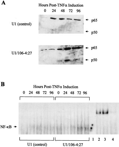 FIG. 6