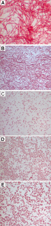 FIG 1