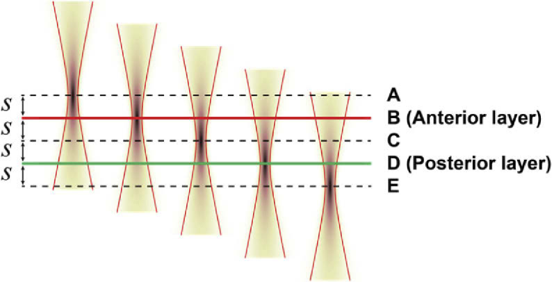 Fig. 6.