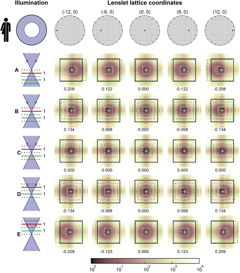 Fig. 14.