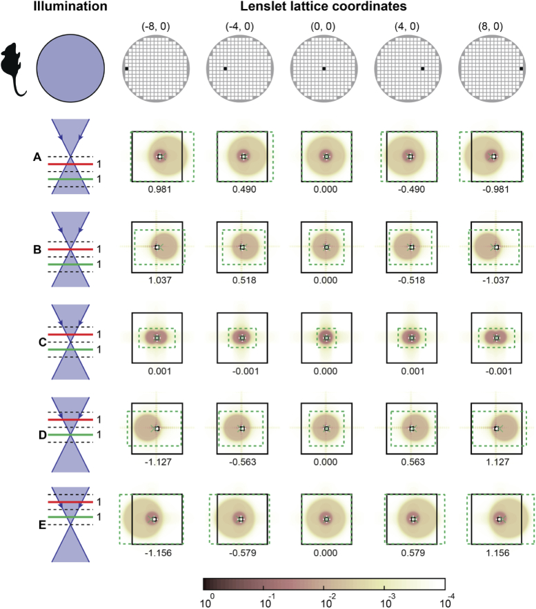 Fig. 10.