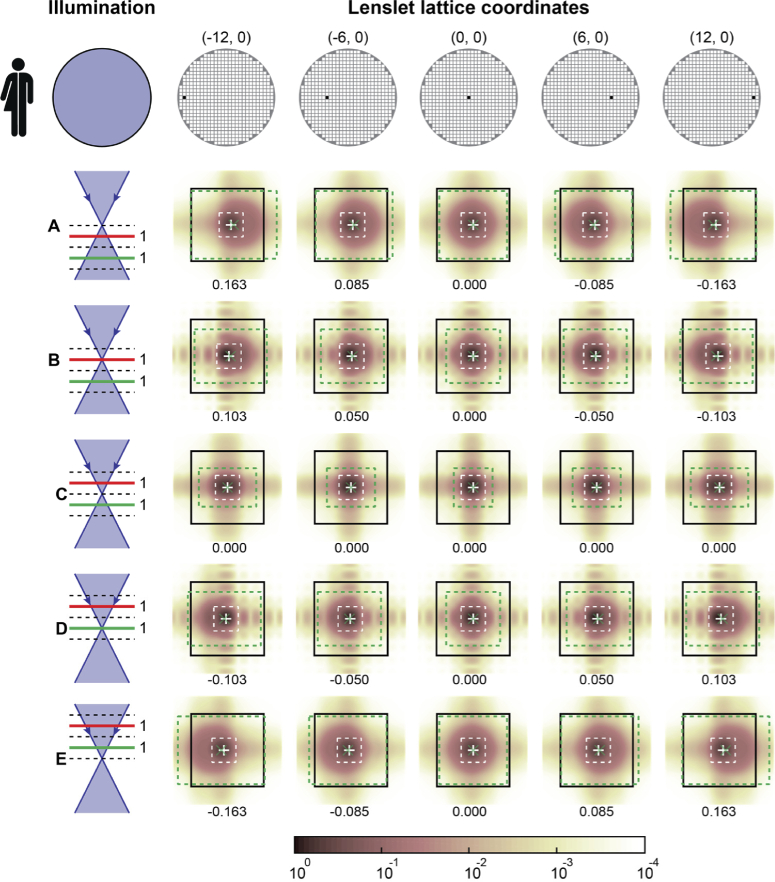 Fig. 9.