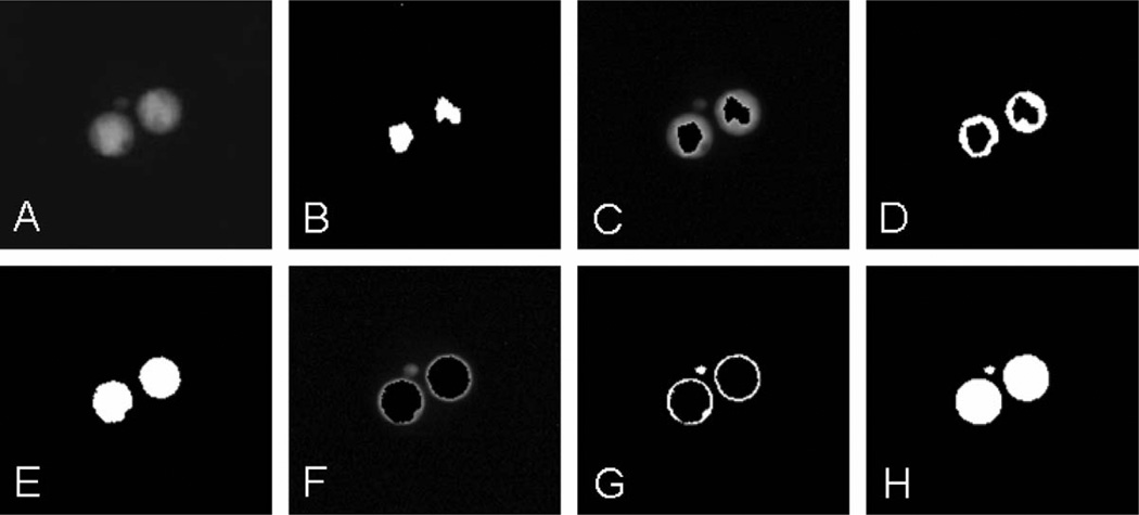 FIG. 1