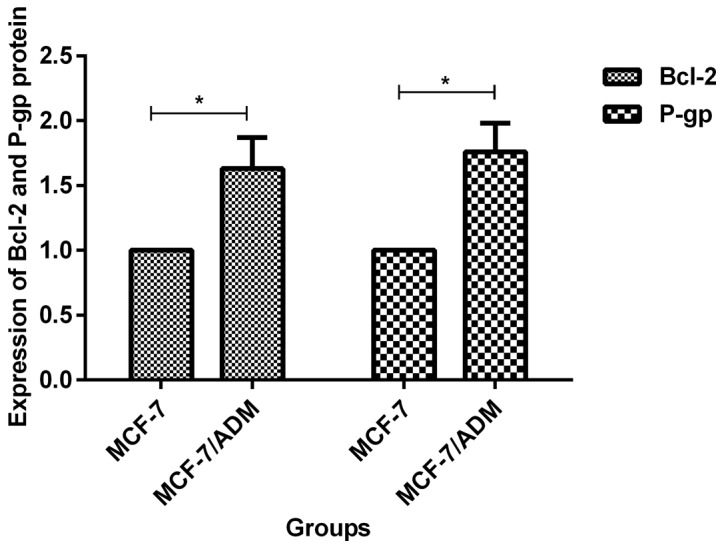 Figure 5.