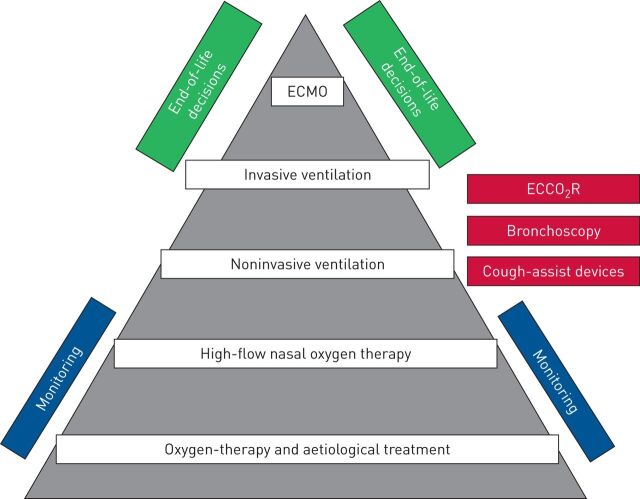 FIGURE 1