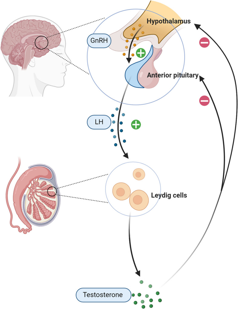 Fig. 1