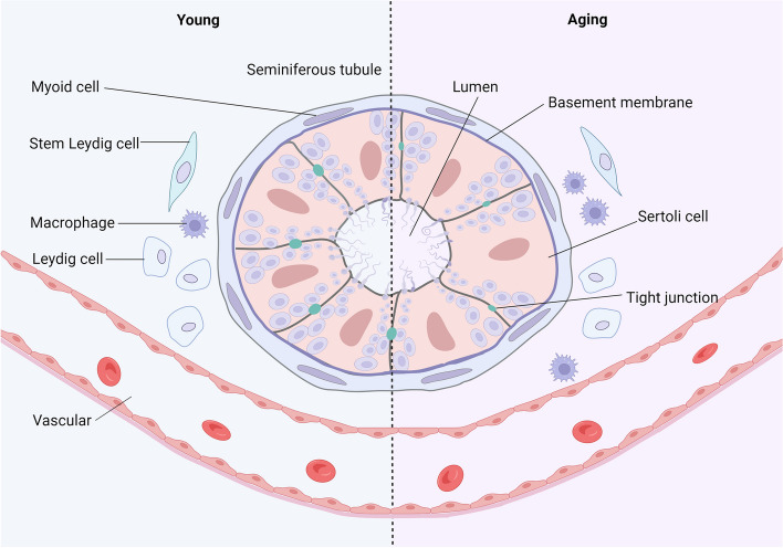 Fig. 3