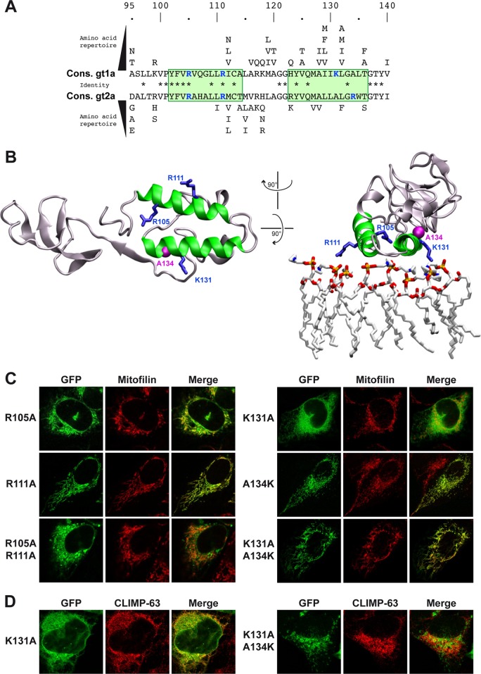 FIG 2