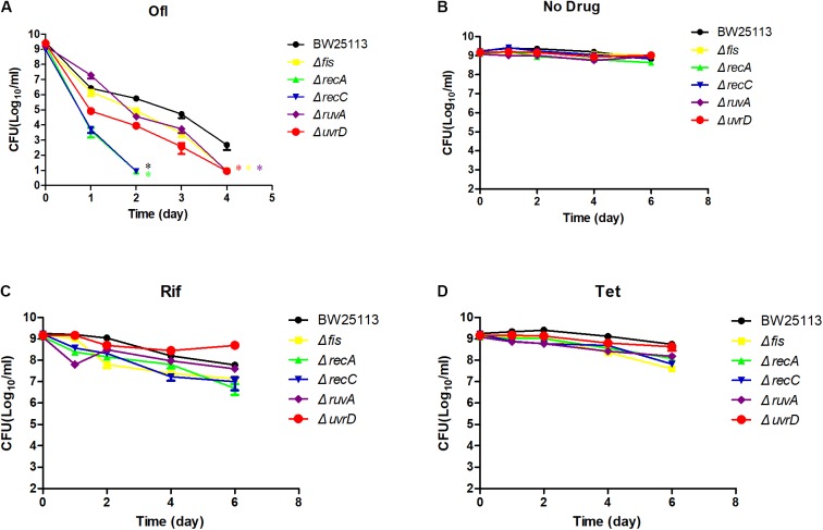 FIGURE 3