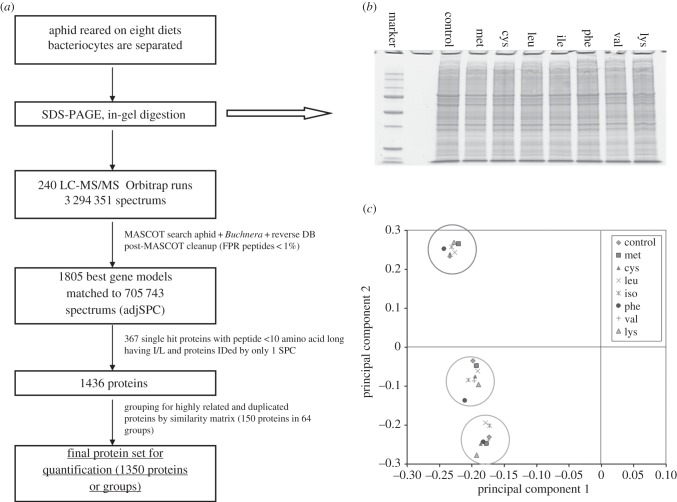 Figure 2.