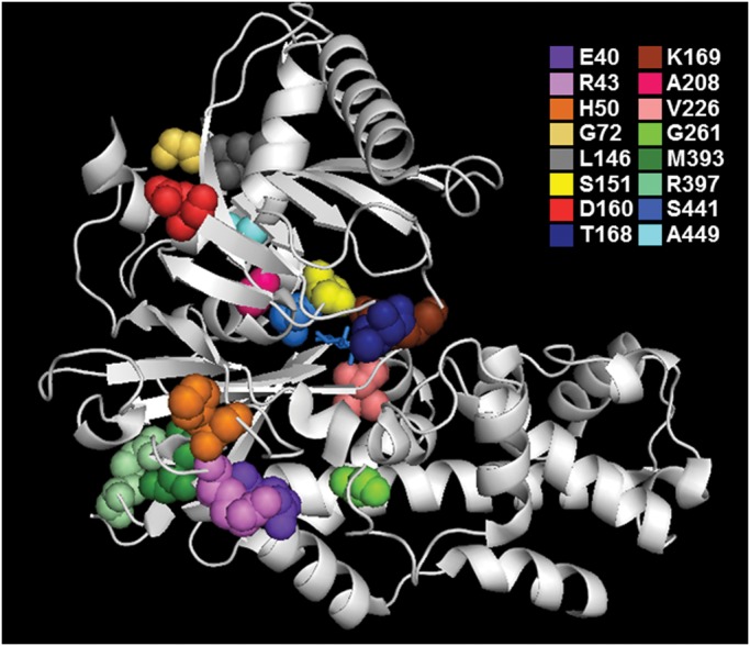 Figure 1.