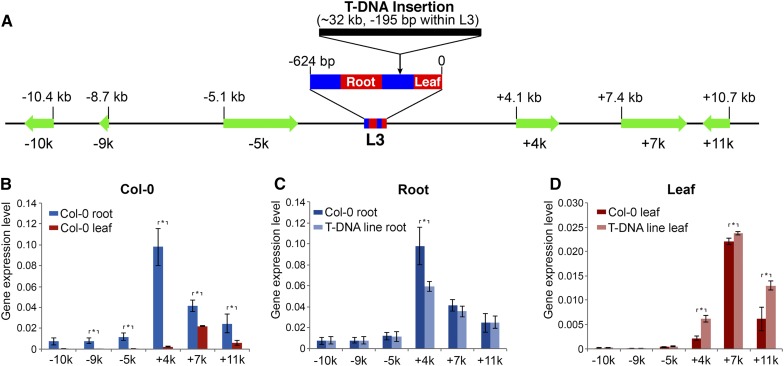 Figure 6.