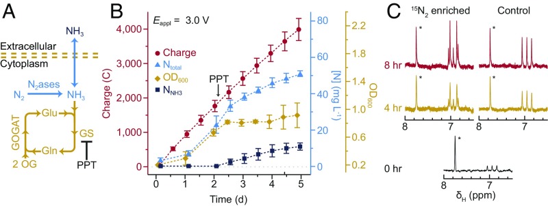 Fig. 4.