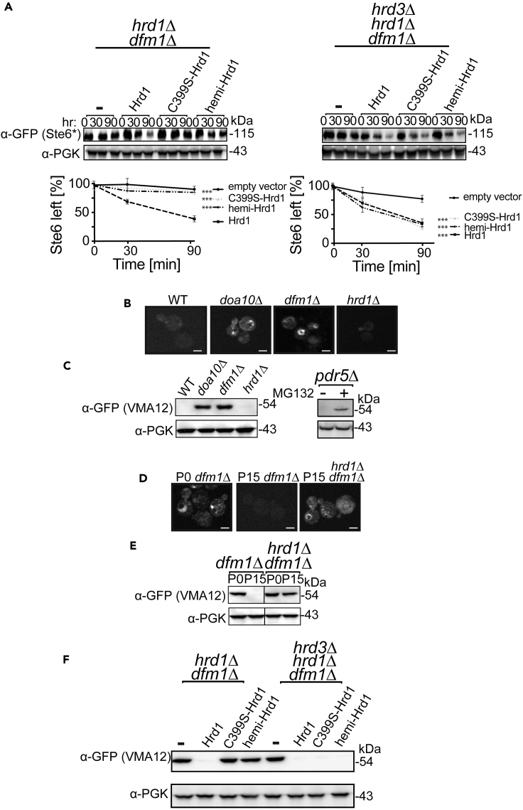 Figure 6