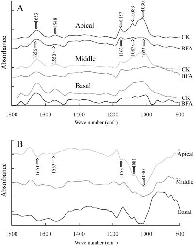 Figure 10.