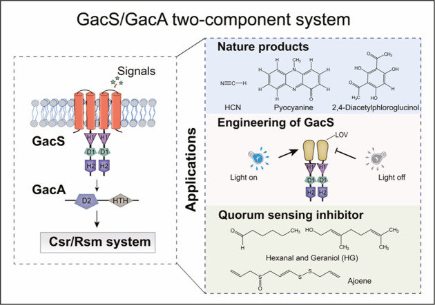 Image, graphical abstract