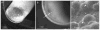 Fig. 10