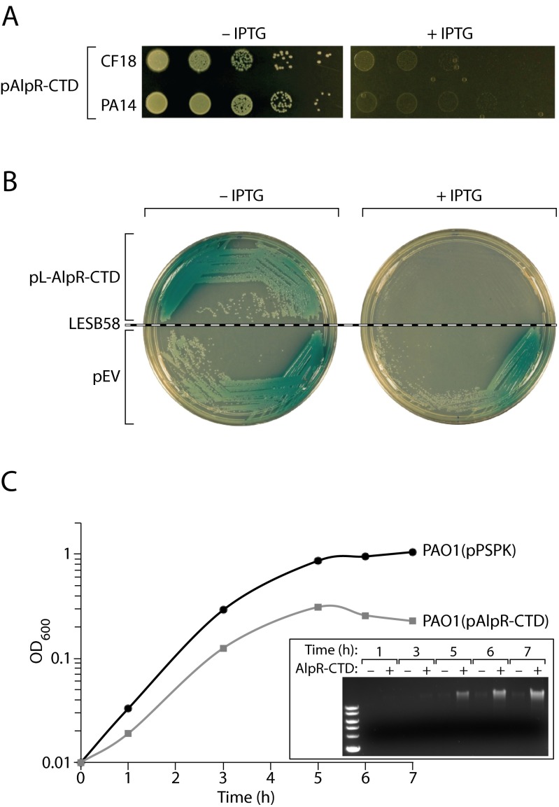 Fig. S3.