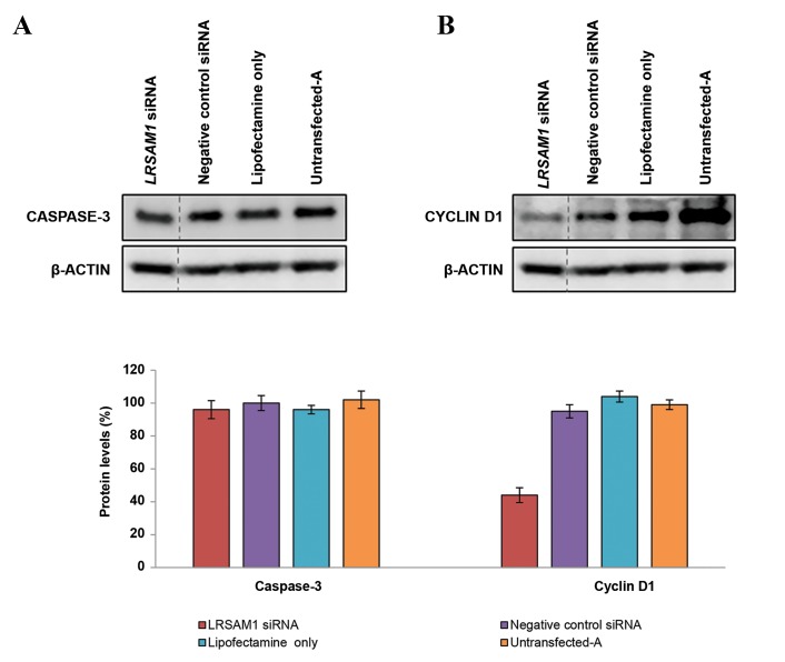 Fig.3