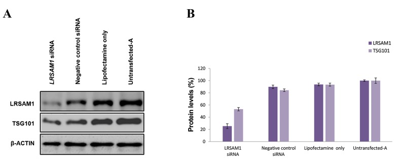 Fig.1