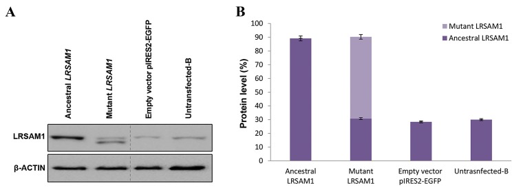 Fig.4