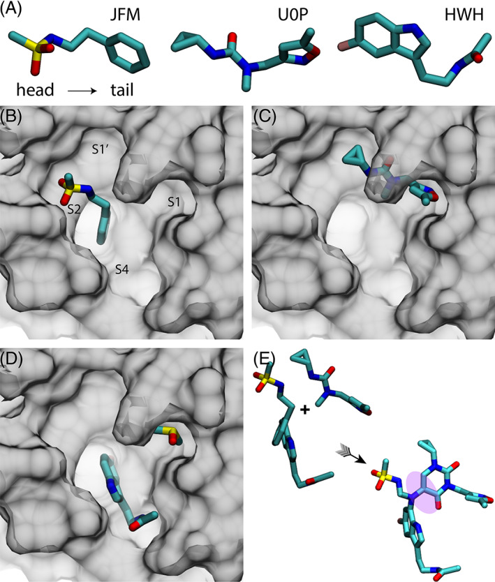 FIGURE 1