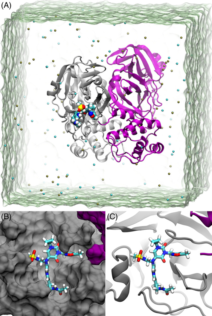 FIGURE 2