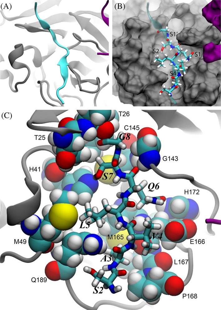 FIGURE 6