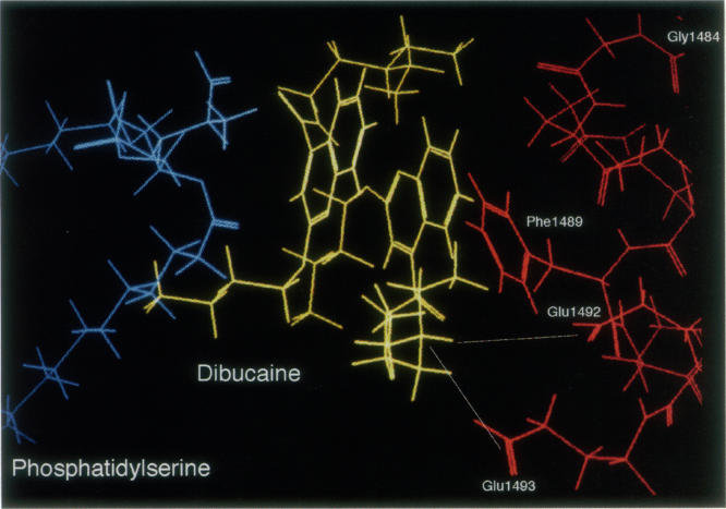 FIGURE 19