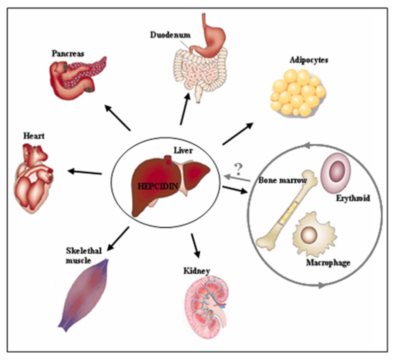 FIGURE 2