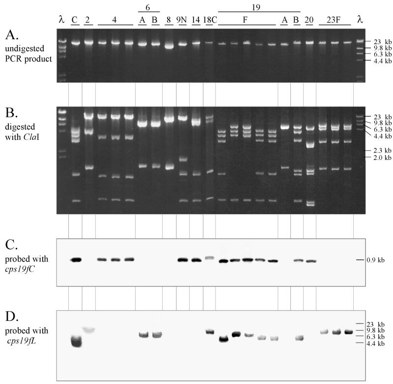 FIG. 3