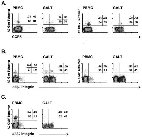 FIG. 6.