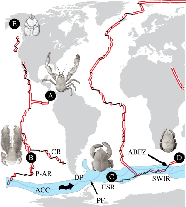 Figure 2.