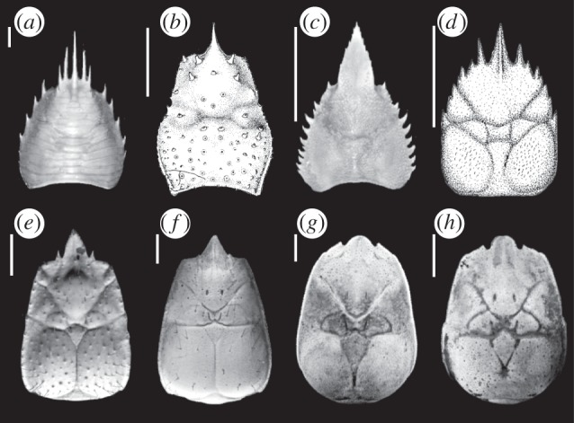 Figure 1.