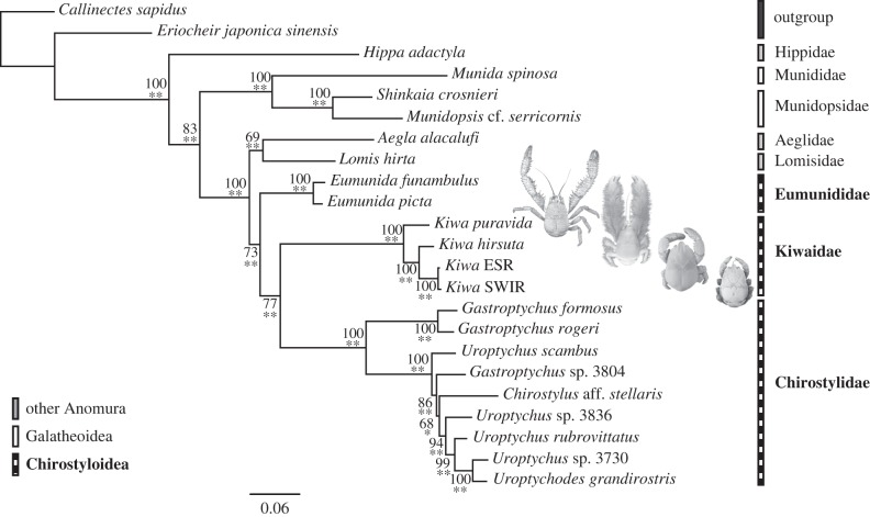 Figure 3.