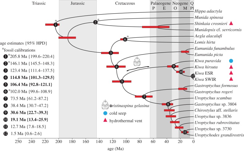 Figure 4.