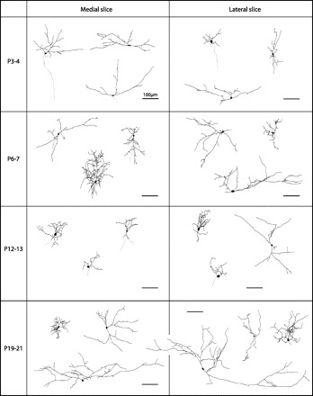 Fig. 7.