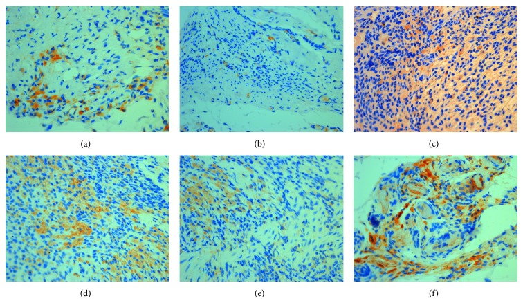 Figure 10