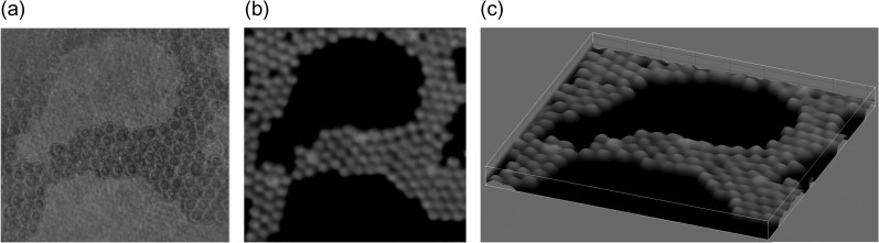 Fig. 3.