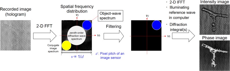 Fig. 2.