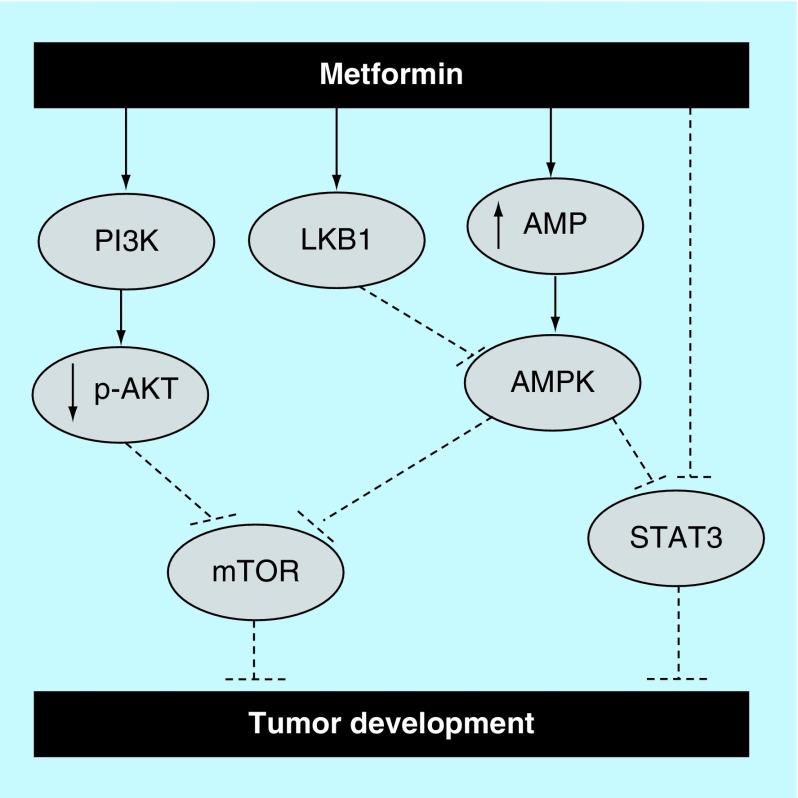 Figure 2. 