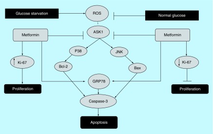 Figure 3. 