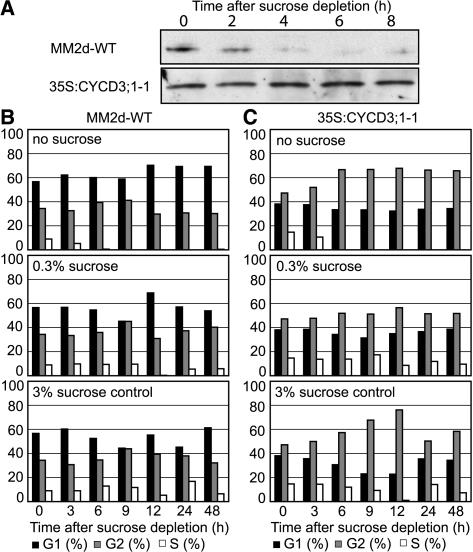 Figure 2.