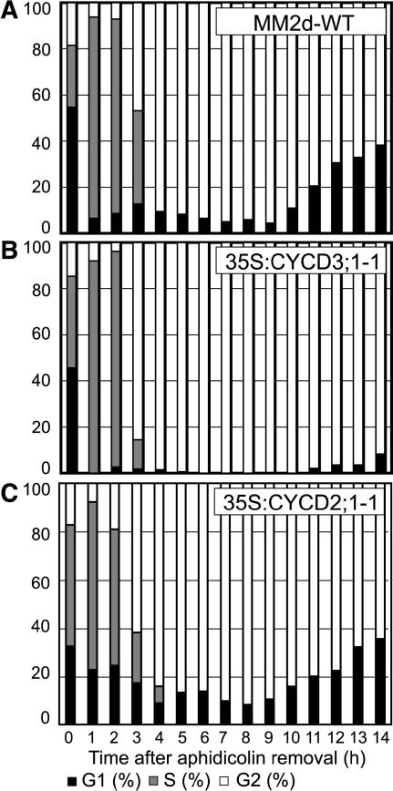 Figure 3.