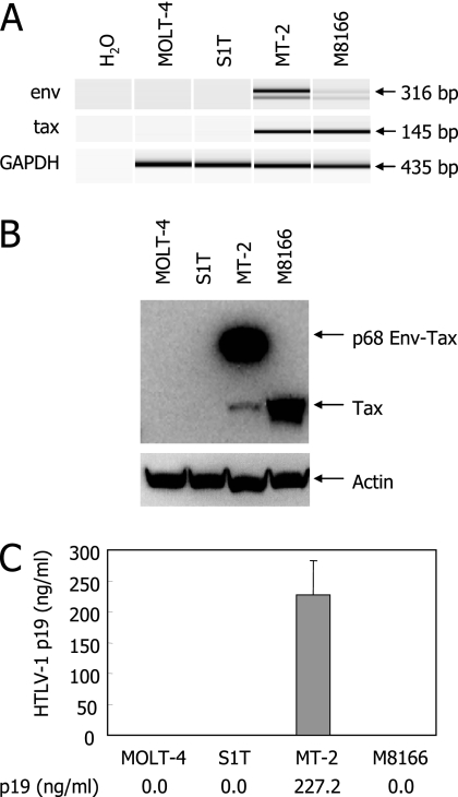 FIG. 1.