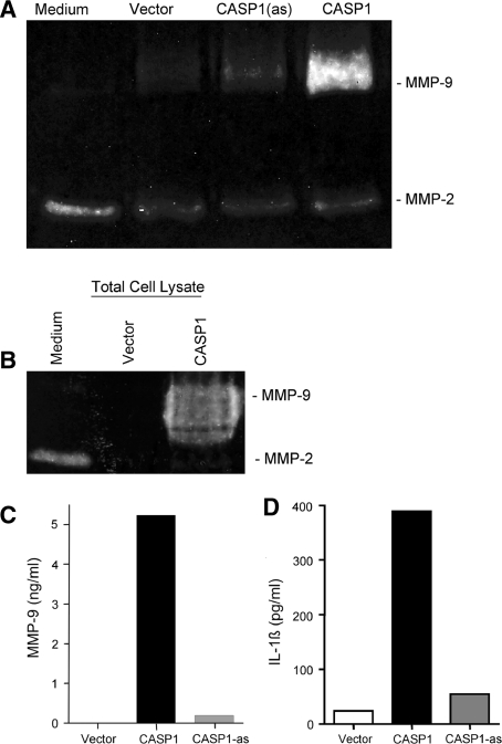 Figure 4