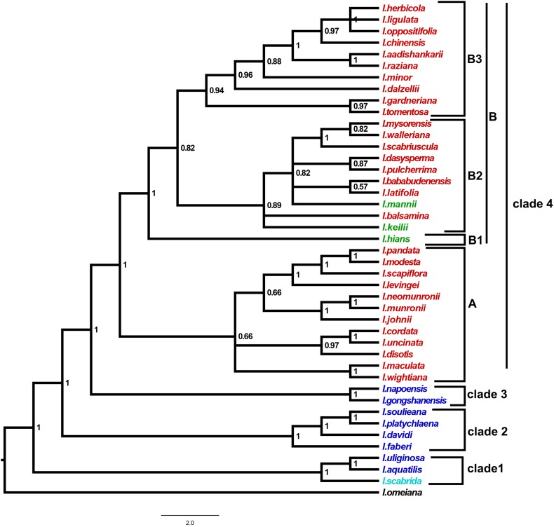 Fig. 1