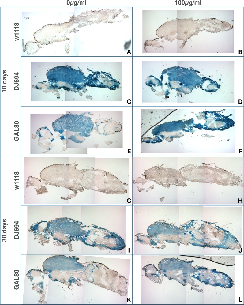 Figure 10