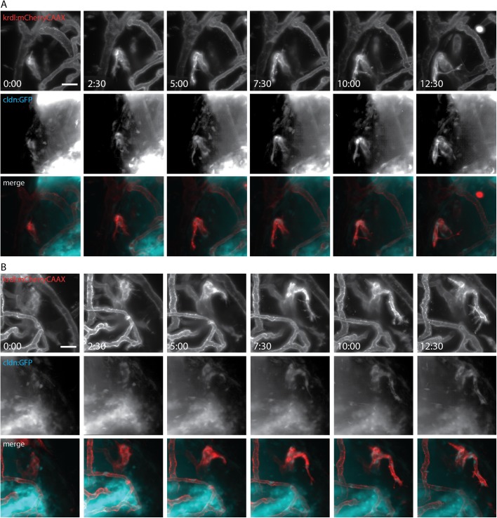 Fig. 4.